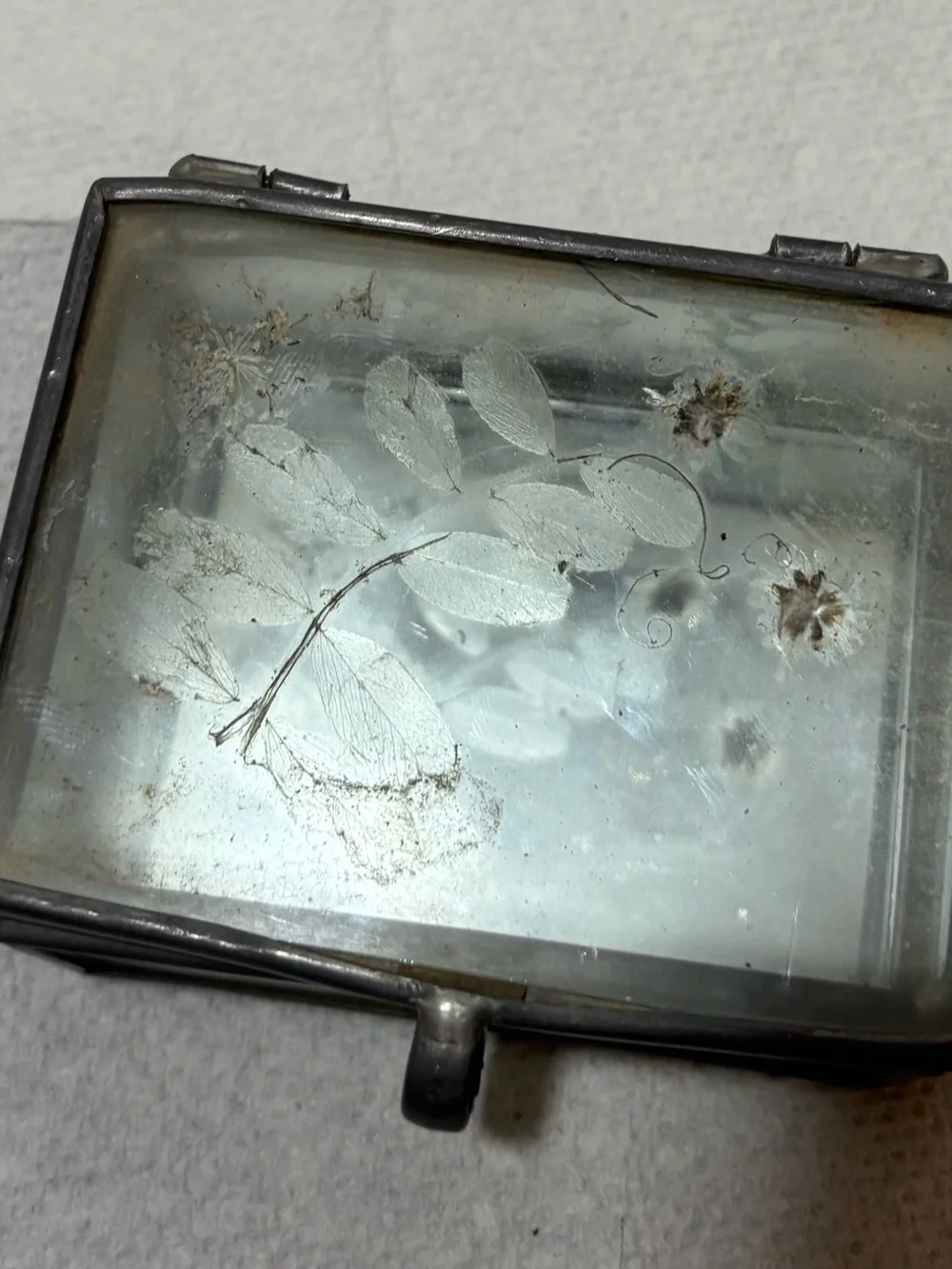 Vintage Leaded Glass Trinket Box with Dried Flowers